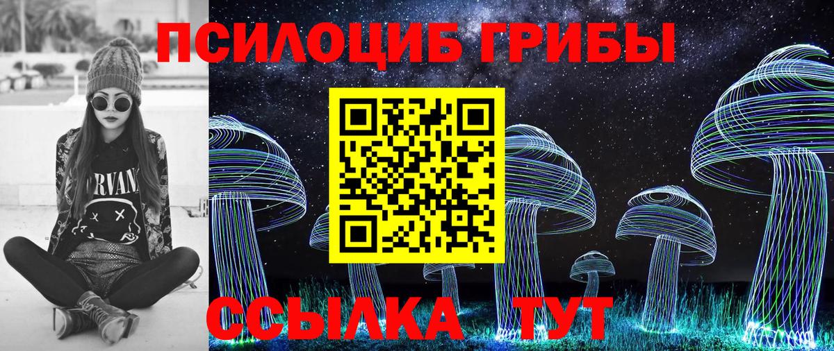 Псилоцибиновые грибы MAGIC MUSHROOMS  Галлюциногенные грибы ЛСД  купить наркоту  Менделеевск  Вход с VPN 