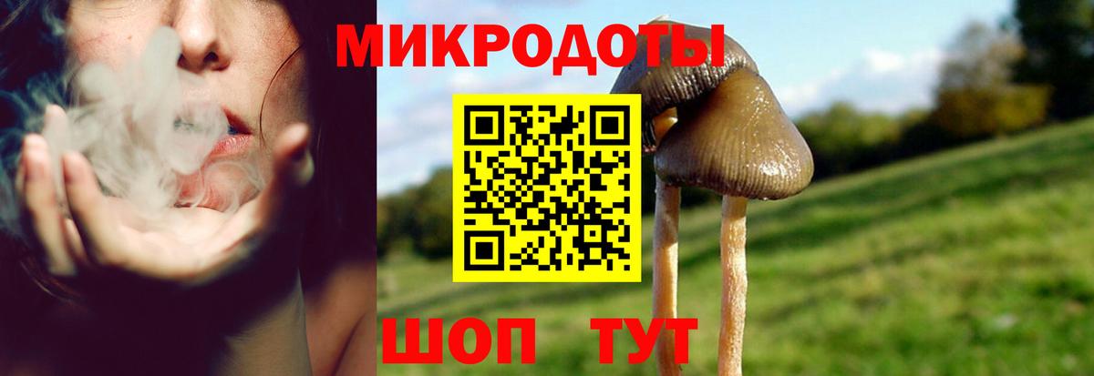 Галлюциногенные грибы GOLDEN TEACHER Менделеевск
